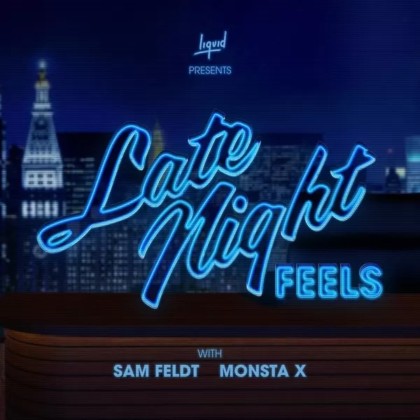 دانلود آهنگ Late Night Feels Sam Feldt & Monsta X